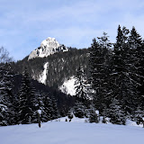 2013 - Rodeln vom Br&uuml;nnstein