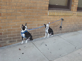 Wall painting, San Francisco (June 16, 2011)