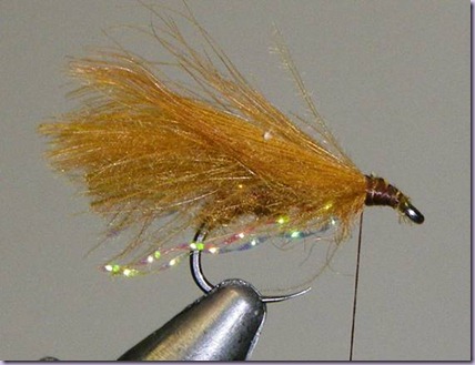 clip_image020 clip_image020