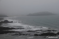 IMG_9306.JPG Photo
