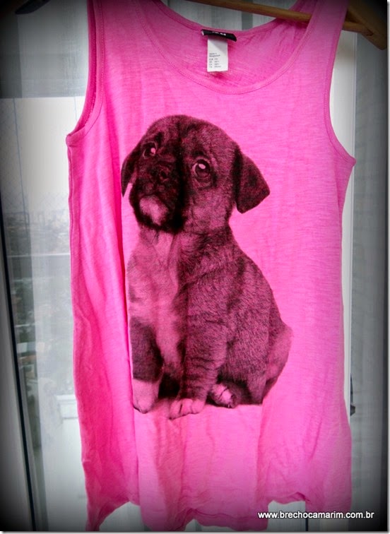 regata pink little dog regata pink little dog