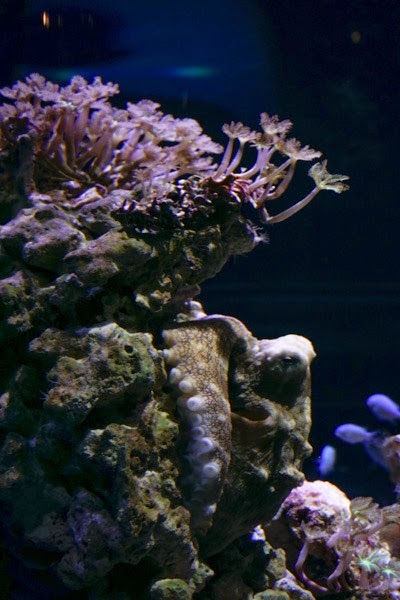 [20150313-DSC00316%255B4%255D.jpg]