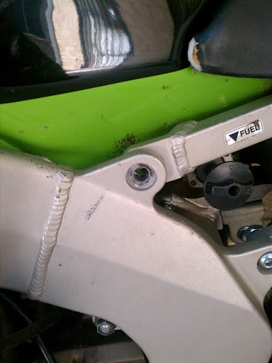 IMAG0295.jpg