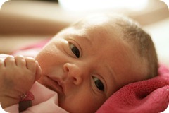 IMG_5609c IMG_5609c