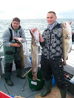 Image118.jpg
