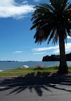 Sprachaufenthalt Whitianga