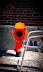 Fire Hydrant at Mill Street Brewery
