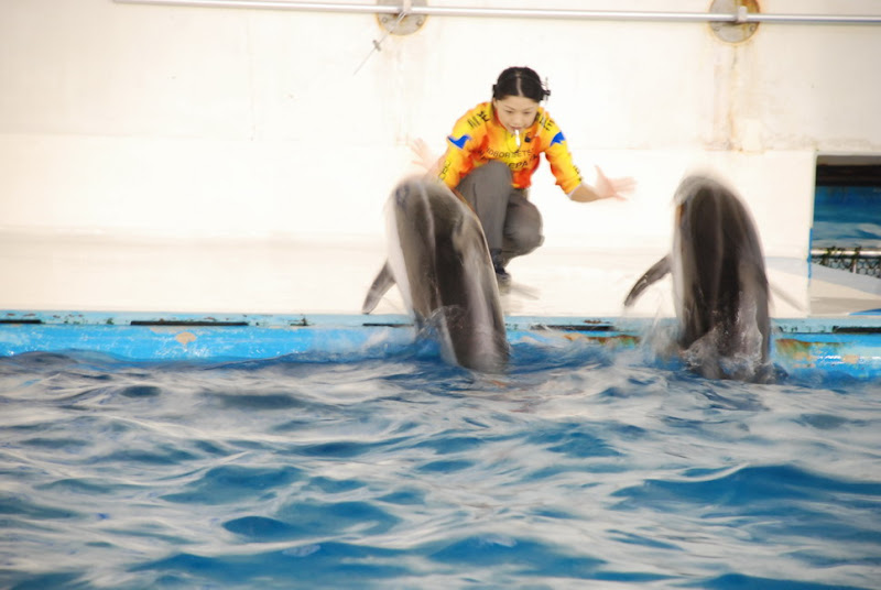 hokkaido_469.jpg
