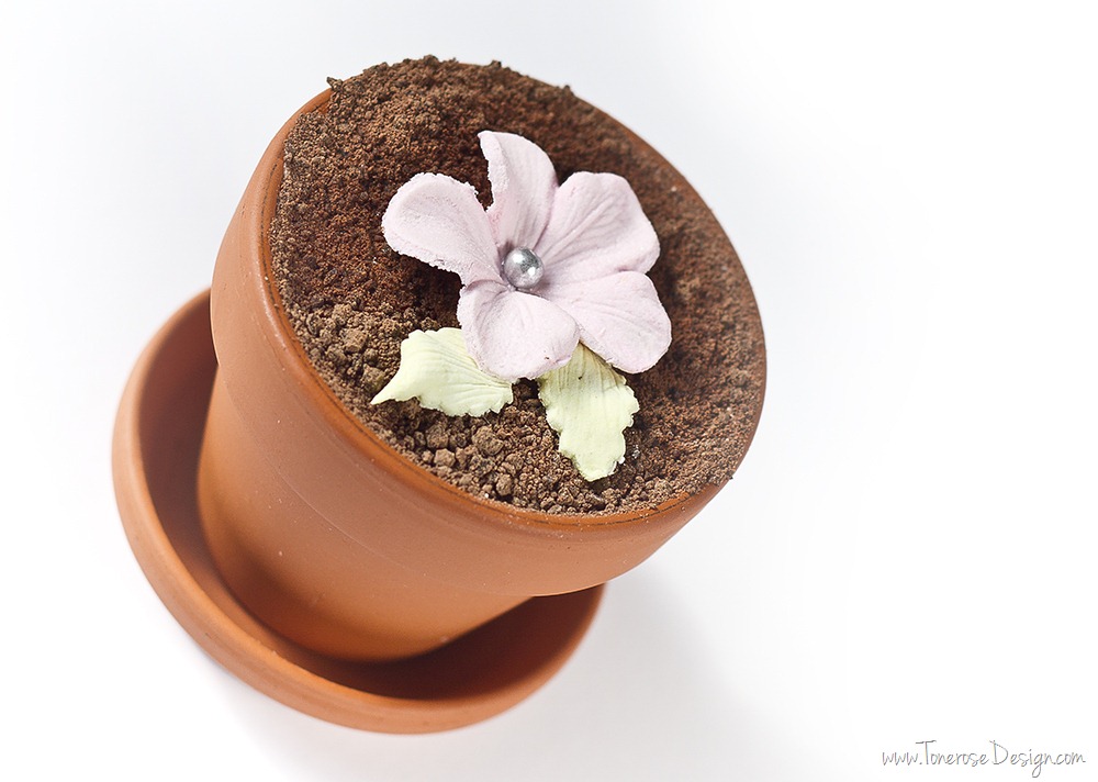 [IMG_5750%255B10%255D.jpg]