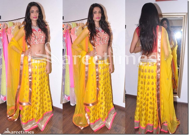 sarah jane dias in saree sareetimes sarah jane dias sarah jane dias in saree sareetimes sarah jane dias