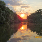 IMG_7241.JPG