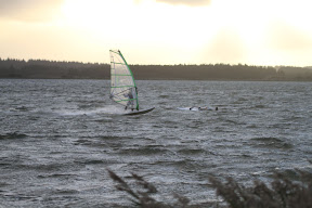 IMG_4590.JPG