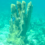 IMG_0614.JPG
