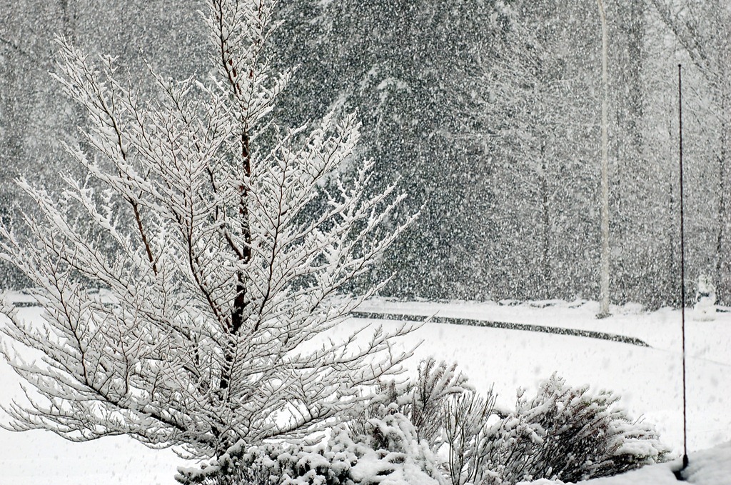 [008%255B3%255D.jpg]