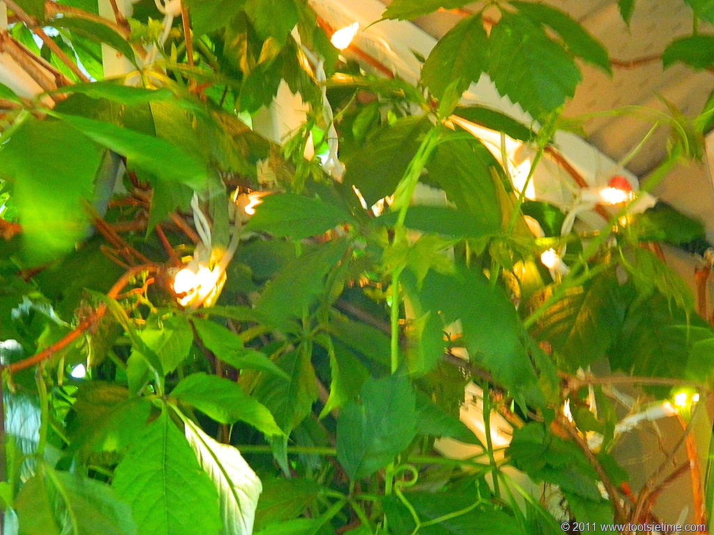 [DSCN0532%255B7%255D.jpg]