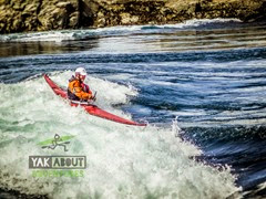 (c)Worldwildadventures-1824