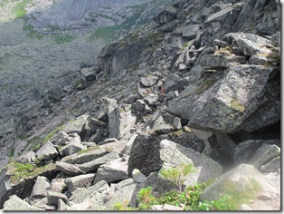 IMG_0420 IMG_0420