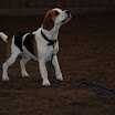 jan-feb 2010 110.JPG