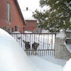 Svilajnac_20.02.2009. (3).JPG