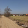dsc06802.jpg