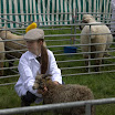 GLAShow 2012 028.jpg