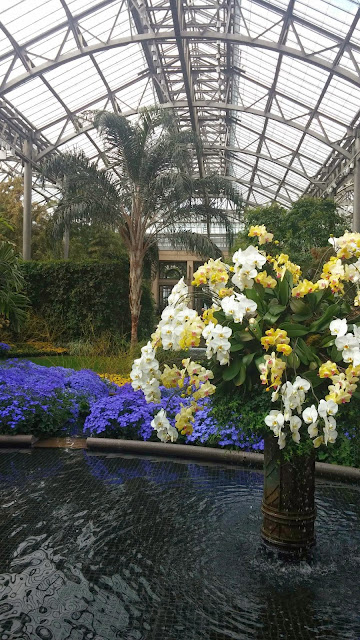 Orchid Extravaganza at Longwood Gardens - Opera Singer in the Kitchen