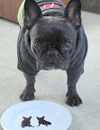 Sharkey, I see your point - I'm a brindle and you are a creamy fawn.  Maybe, just maybe, the people who sent these gifts will read this blog and take the hint!