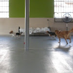 DSCN2537.jpg