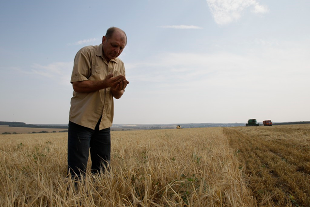 Product manager of Niva (Field) agriculture company Vladimir Kiselyov checks ears of barley in a field south of Moscow on Aug. 11, 2010 AP Photo / Ivan Sekretarev