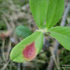 dsc03701.jpg