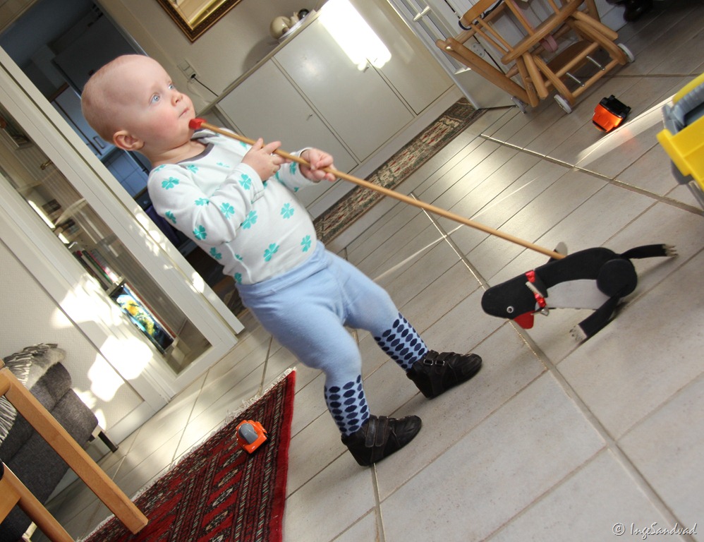 [IMG_7555%255B5%255D.jpg]