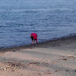 Danska stränder