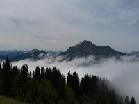 P1240275.jpg