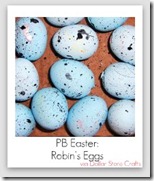 robins eggs