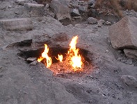 IMG_0710 IMG_0710