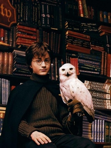 [hp14.jpg]
