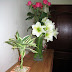 Lucky bamboo and flowers light up our bedroom