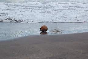 DSC_0980.JPG