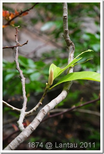 DSC_0541 DSC_0541