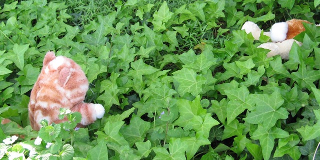 [IMG_9128CROPPED%255B2%255D.jpg]
