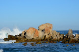 DSC_0517.JPG