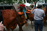 Guimarães, Portugal 053.JPG