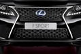 2013-Lexus-RX-450h-F-Sport-8[5]