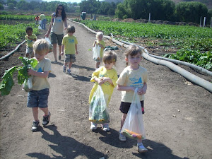 Look at those bags full of vegetables!