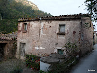 P1110022.JPG Photo