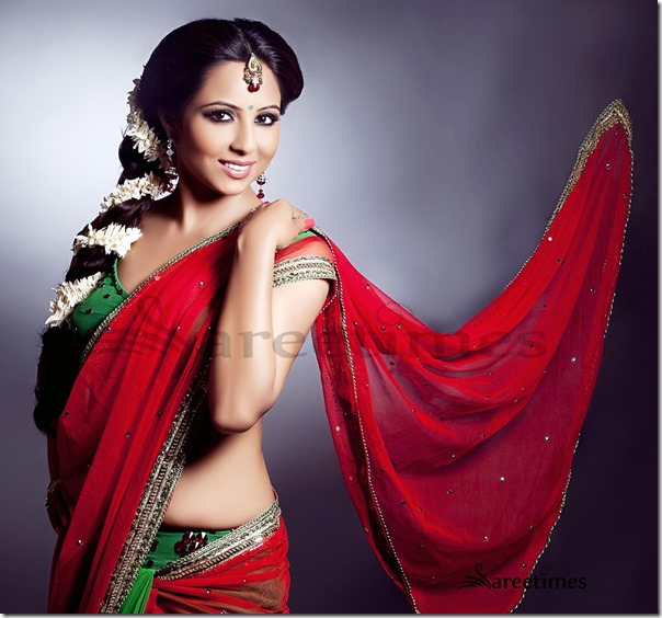 Net_Saree (1)