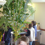 BILD3974.JPG