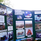 Digital StillCamera