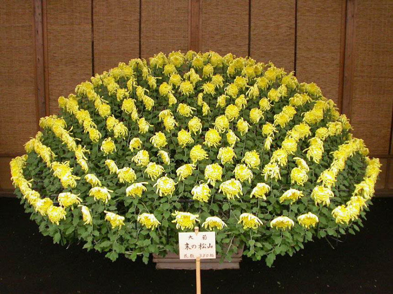 The art of Gardening