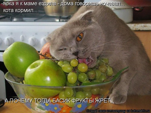 [470552%255B2%255D.jpg]